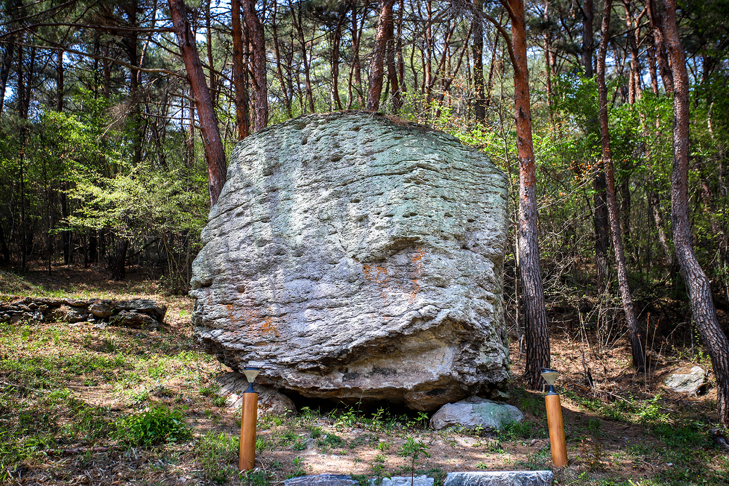 5. 고창동양최대고인돌 사진