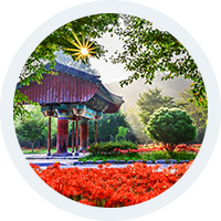 선운산 도립공원 사진
