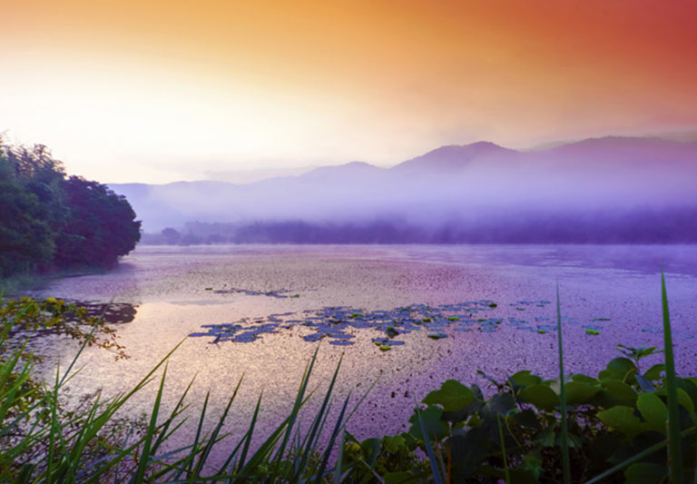 고창생물권보전지역 사진