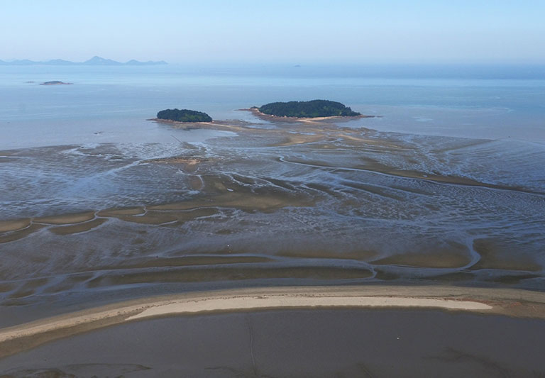 고창갯벌 사진